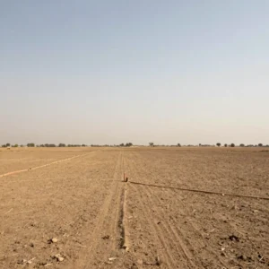 Chomu Agricultural Acre